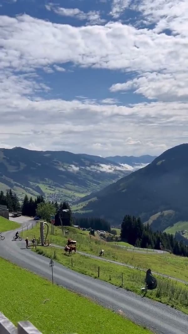 Reel aus Saalbach-Hinterglemm: Hotel, Bergpanorama und Almwiesen im Sommer