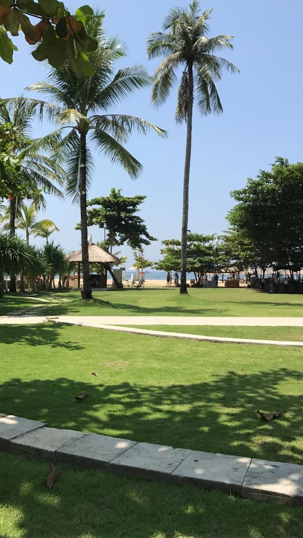 Gepflegte Gartenanlage mit Kokospalmen und Weg zum Strand