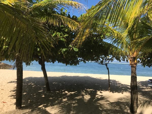Palmen am Hausstrand des Sofitel Nusa Dua mit Blick aufs Meer