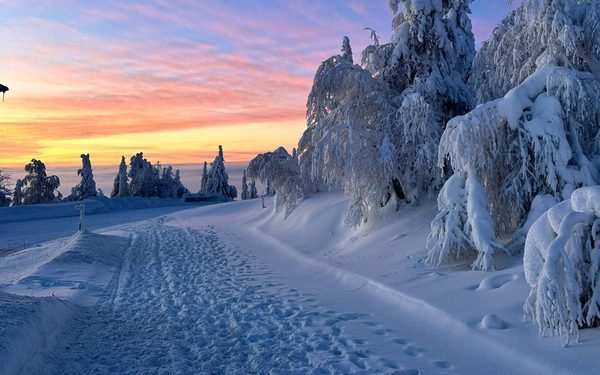 Verschneite Bäume und Winterweg bei Sonnenuntergang